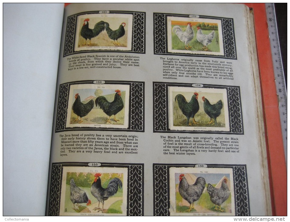 336 different in 1 album printed 1915 MARKSTEIN dogs , aviation, dinos, cows races, chickensTHE PICTURE BOOK OF WISDOM