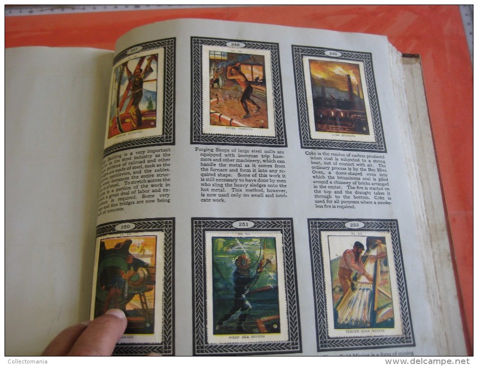 336 different in 1 album printed 1915 MARKSTEIN dogs , aviation, dinos, cows races, chickensTHE PICTURE BOOK OF WISDOM