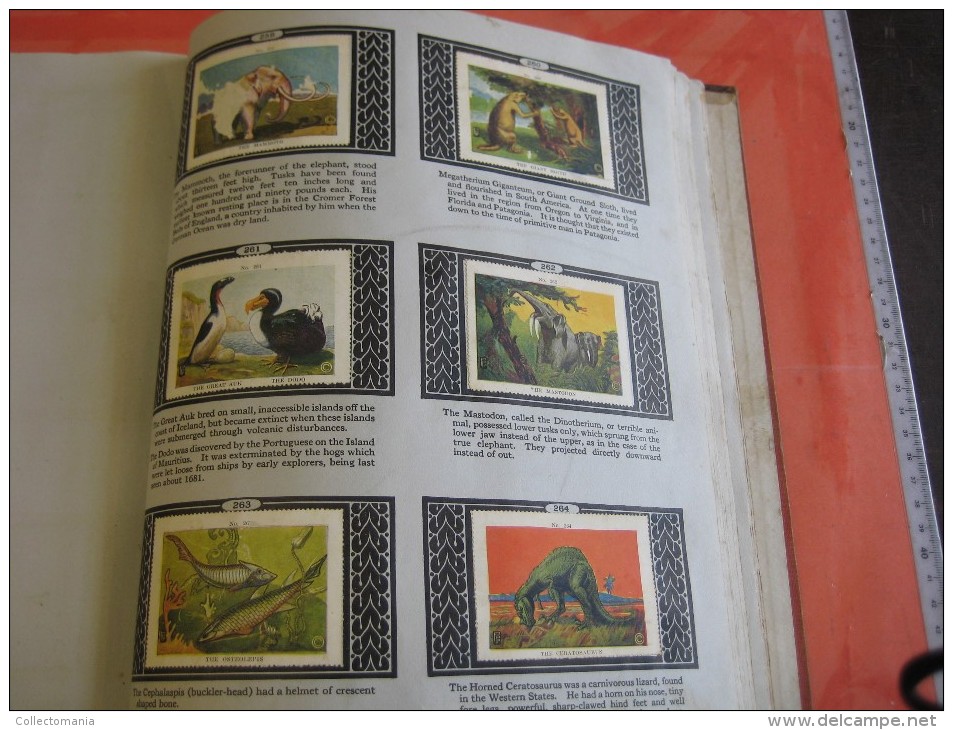 336 different in 1 album printed 1915 MARKSTEIN dogs , aviation, dinos, cows races, chickensTHE PICTURE BOOK OF WISDOM