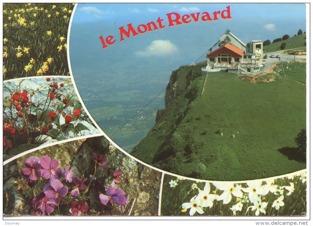 Le Mont Revard Multivues N°16462 Cellard - Restaurant Et Gare Arrivée Télépherique Aérienne Flore - Autres & Non Classés