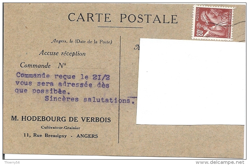 Carte Postale Bégonia Cristata - Hodebourg De Verbois Angers - Accusé De Réception Commande Reçue- Vers 1940 - Grainier - Altri & Non Classificati