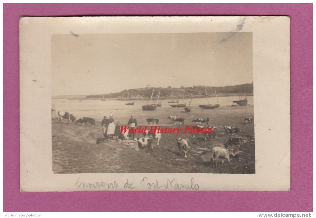 CPA Photo - Environs De PORT NAVALO Et VANNES - Petites Bretonnes Gardant Leur Vaches - TOP RARE - Vannes