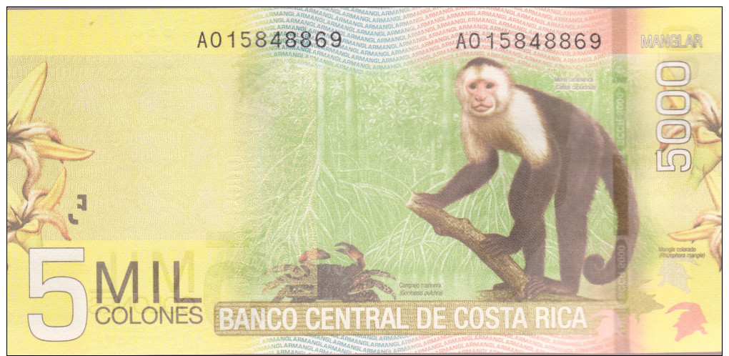 Costa Rica 5000 Colones  P276 UNC MONKEY POLYMER BANKNOTE - Costa Rica