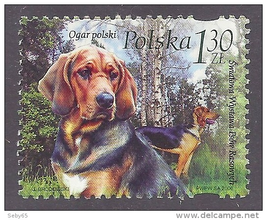 Poland Polska 2006 World Dog Show - Polish Hound, Ogar Polski, Animals, Dogs, Chiens, Fauna MNH - Neufs