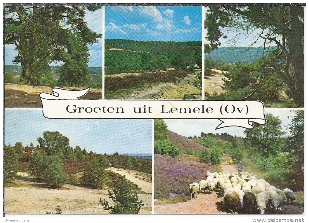 NL. Lemele. Groeten Uit Lemele. Heide. Duinen. Schaapherder. Schapen. - Autres & Non Classés