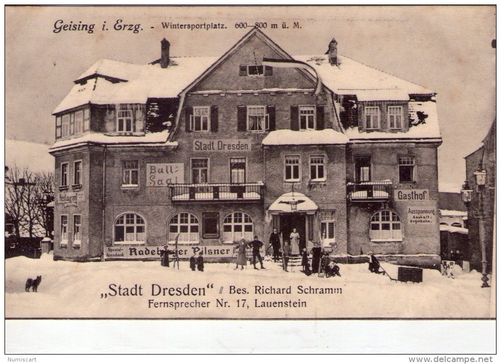 Allemagne.. Geising I. Erzgeb.. Animée.. Hôtel Stadt Dresden.. Sport D´hiver.. Ski.. Skieur - Geising