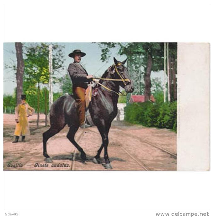 COSTP0614-LFTM1718TFO.Tarjeta Costumbrista.HOMBRE A CABALLO,Jinete ANDALUZ,Sevilla.CCLD - Caballos