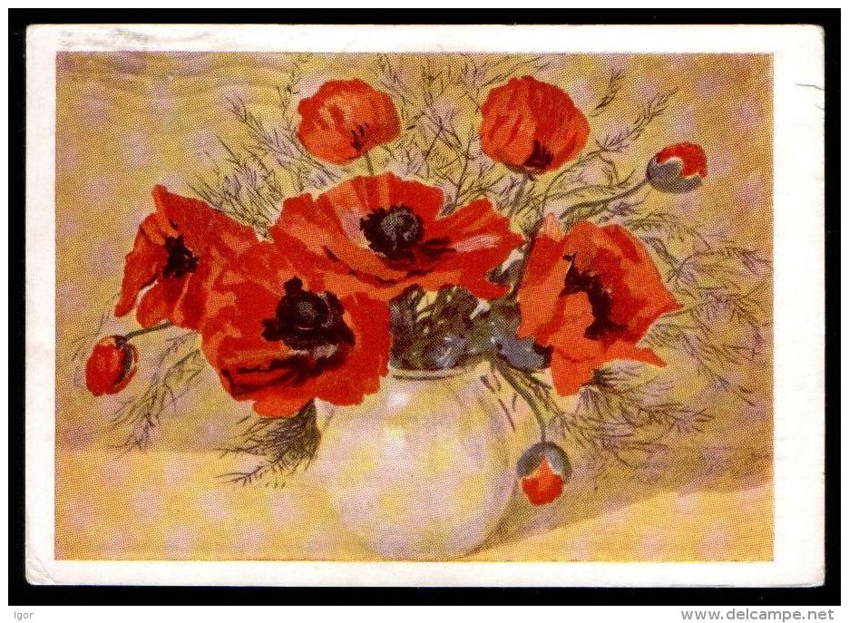 Russia USSR 1963 Stationery Postcard Poppies - Altri & Non Classificati