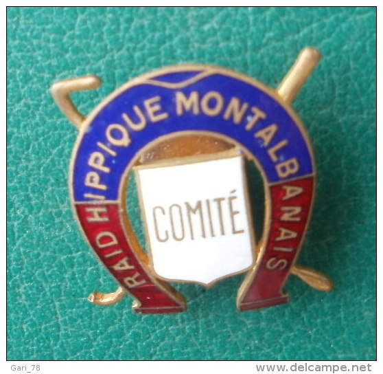 INSIGNE COMITE RAID HIPPIQUE MONTALBANAIS -  Insigne LAUBERT Paris - Equitation