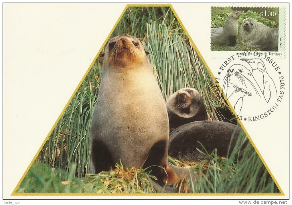 AAT 1993 Wildlife Fur Seals Maximum Card - Other & Unclassified