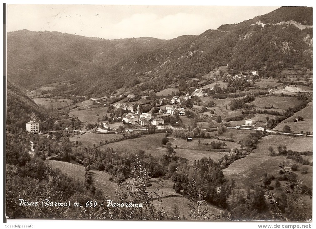 A313 PIONE (PARMA) - PANORAMA - Parma