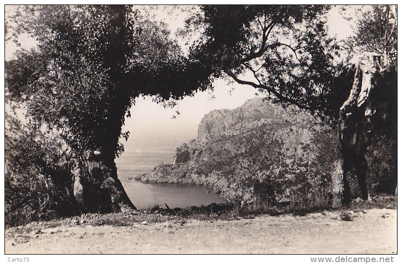 Espagne - Islas Baleares - Mallorca - Carretera De Soller / Punta De Gall /  Matasellos - Mallorca