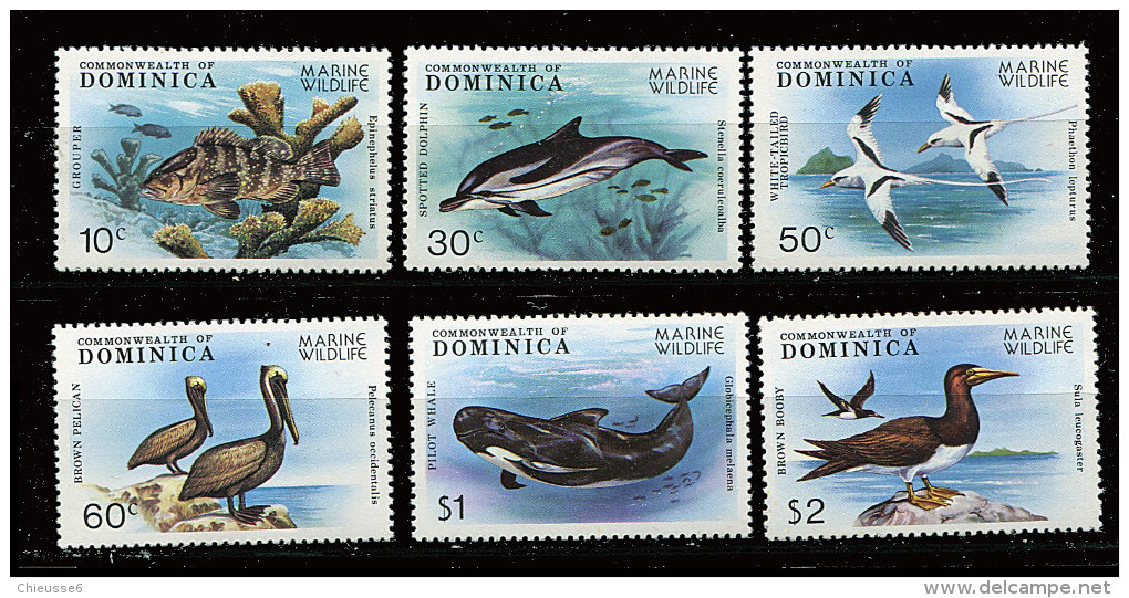 Dominique ** N° 603 à 608 - Faune Marine (poissons, Cétacés, Oiseaux) - Dominica (1978-...)