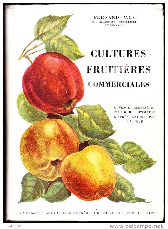 Fernand Page - Cultures Fruitières Commerciales - Oreste Zeluck, éditeur - Garden