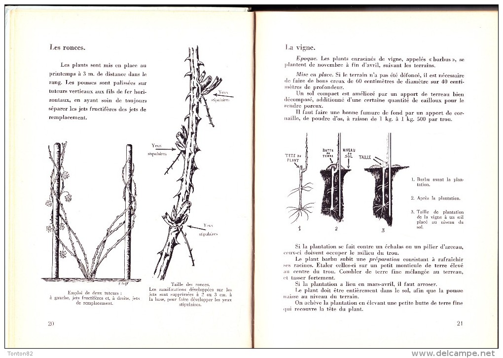 Fernand Page - Cultures Fruitières Commerciales - Oreste Zeluck, éditeur - Garden