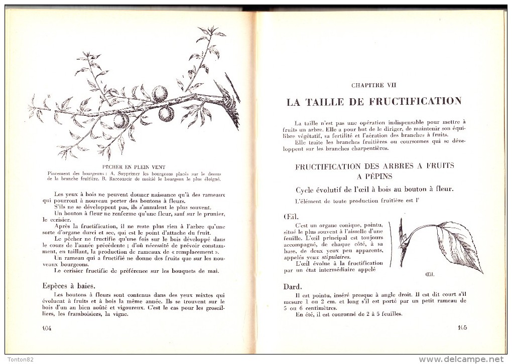 Fernand Page - Cultures Fruitières Commerciales - Oreste Zeluck, éditeur - Garden