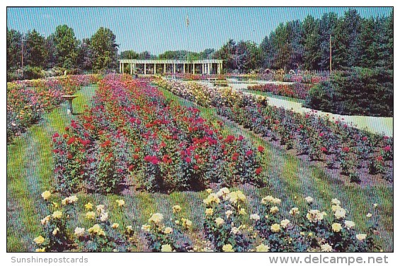 Reinisch Rose Garden Topeka Kansas - Topeka