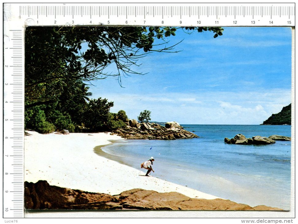 SEYCHELLES  -  Beach At Praslin  -  Plage à Praslin - Seychellen