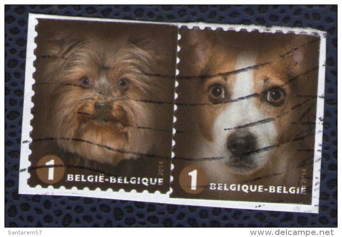 Belgique 2014 Lot 2 Oblitérés Used Dogs Chiens Yorkshire Terrier Et Jackrussel Terrier - Usados