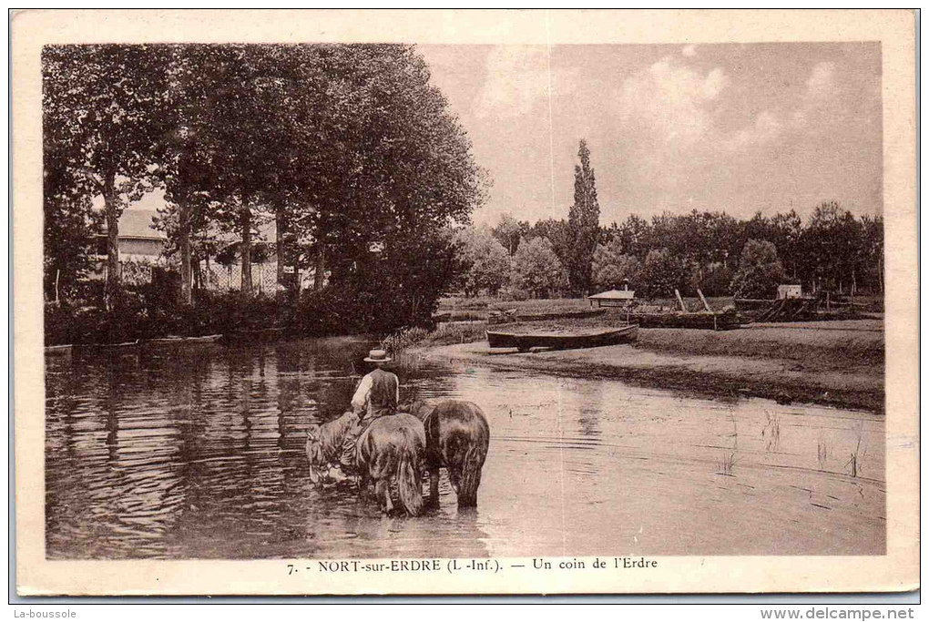 44 NORT SUR ERDRE - Un Coin De L'erdre - Nort Sur Erdre