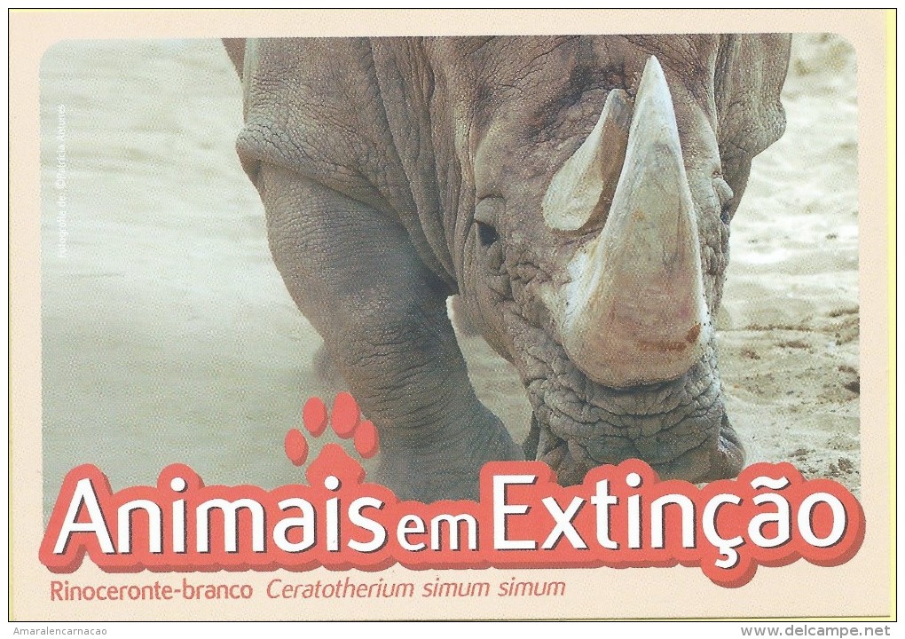 CARTE POSTALE - POSTCARD - POSTKARTE - CARTOLINA POSTAL - PORTUGAL -  ANIMAUX - RHINOCÉROS - ZOO DE LISBONNE - Rhinozeros