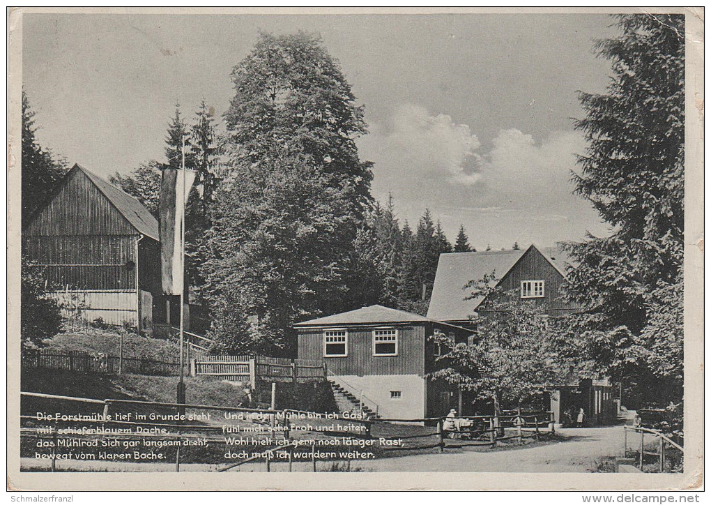 AK Gasthof Forstmühle Krippengrund Bei Krippen Schandau Schöna Postelwitz Reinhardtsdorf Papstdorf Cunnersdorf Pirna - Kleinhennersdorf