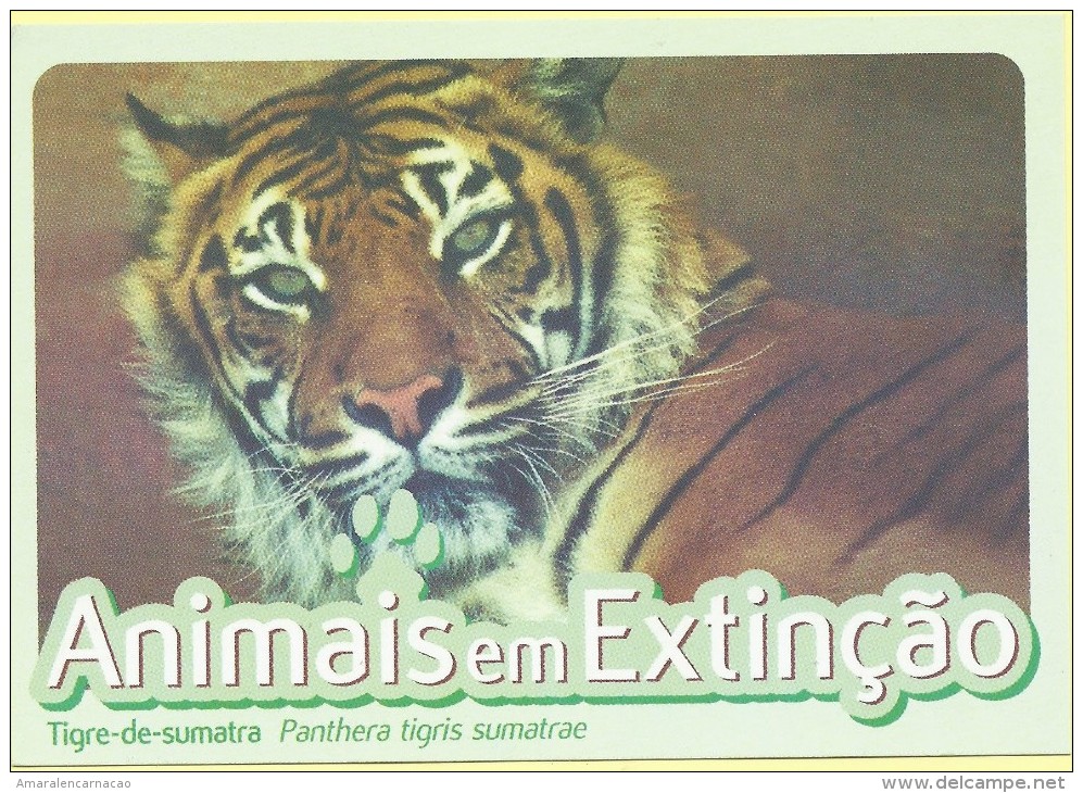 CARTE POSTALE - POSTCARD - POSTKARTE - CARTOLINA POSTA - PORTUGAL - ANIMAUX - SUMATRA TIGER - Panthera Tigris Smatrae - Tijgers