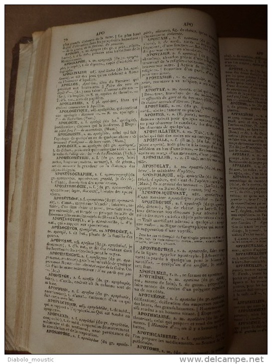 1843  NOUVEAU DICTIONNAIRE DE LA LANGUE FRANCAISE ( reliure cuir)  par M. Noël et M. Chapsal