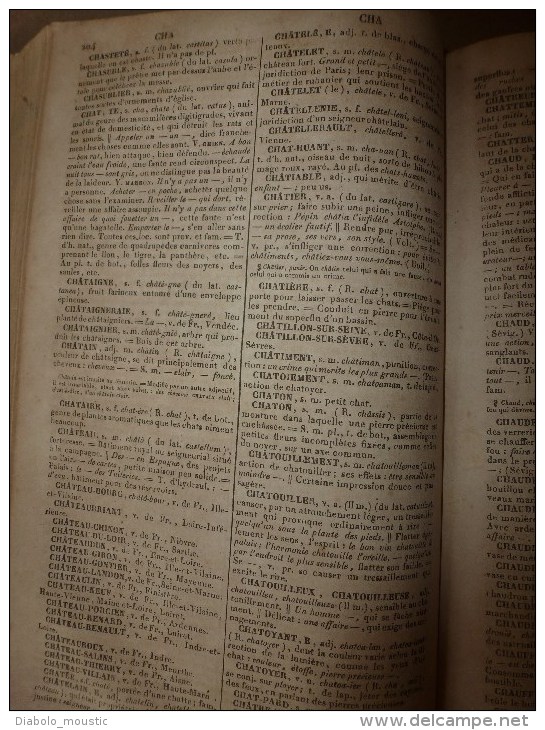 1843  NOUVEAU DICTIONNAIRE DE LA LANGUE FRANCAISE ( reliure cuir)  par M. Noël et M. Chapsal