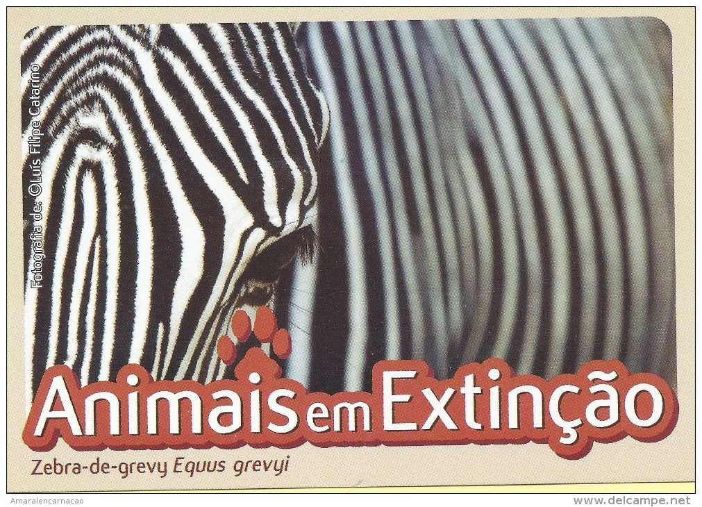 CARTE POSTALE - POSTCARD - POSTKARTE - CARTOLINA POSTA - PORTUGAL - ANIMAUX - ZEBRA GREVY - Equus Grevy - Zebra's