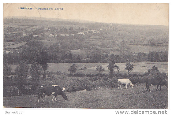 Ferrières - Panorama Du Moupet (vaches) - Ferrières