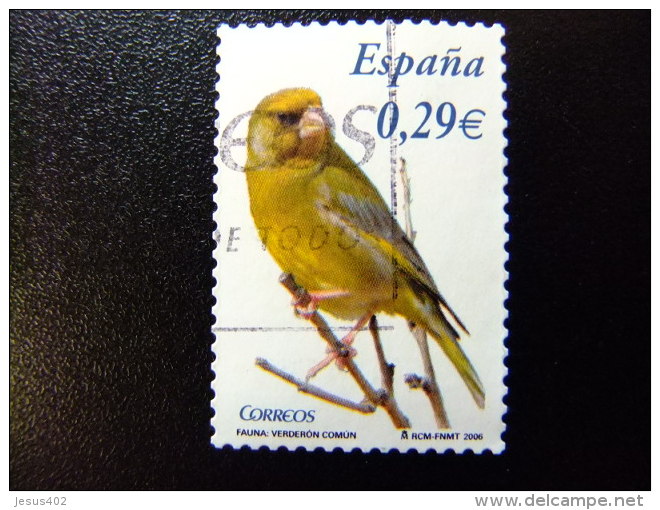 ESPAÑA  2006  FAUNE  ( OISEAU  VERDIER) YVERT 3848 FU - Used Stamps