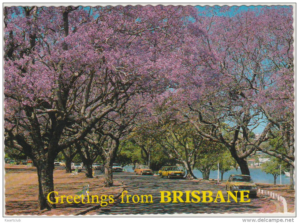 Brisbane, Qld. - New Park Farm - Jacaranda Trees In Bloom - Streetscene & Cars  (+ 63 C. Stamp Australia) - Brisbane