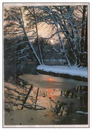 München , Nymphenburger Park Im Winter - München