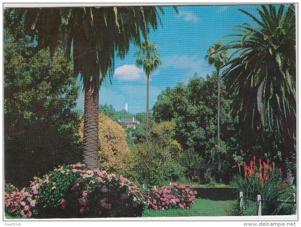 Albury - Monument Hill From The Botanical Gardens - N.S.W.   Australia - Albury