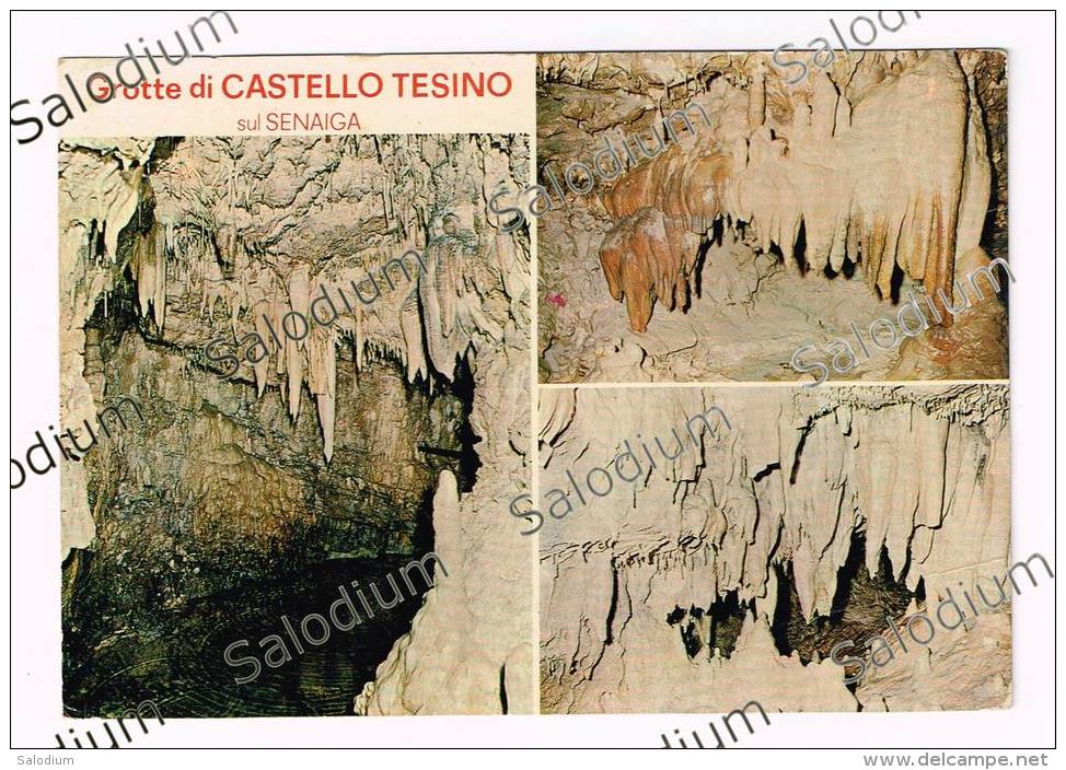 Castello Tesino GROTTE DEL SENAIGA - TRENTO - Trento