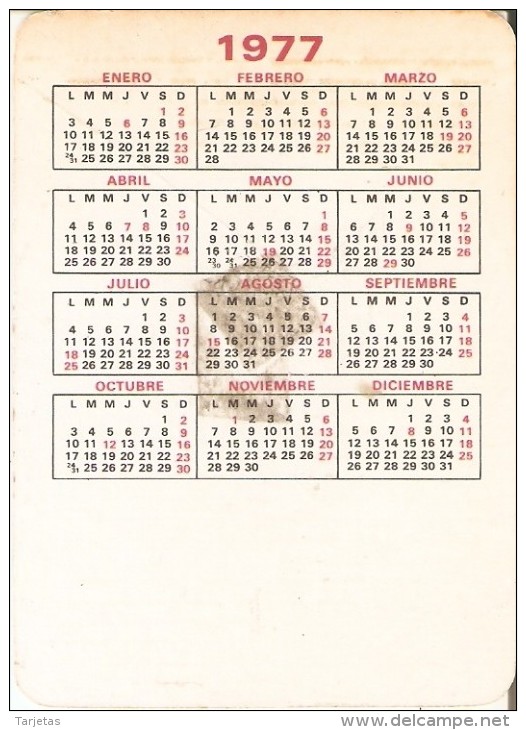 CALENDARIO DEL AÑO 1977 DE UN TORO Y UN TORERO  (TORO-BULL) (CALENDRIER-CALENDAR) - Tamaño Pequeño : 1971-80