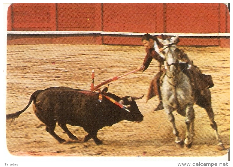 CALENDARIO DEL AÑO 1982 DE UN TORERO  (TORO-BULL) (CALENDRIER-CALENDAR) - Tamaño Pequeño : 1981-90