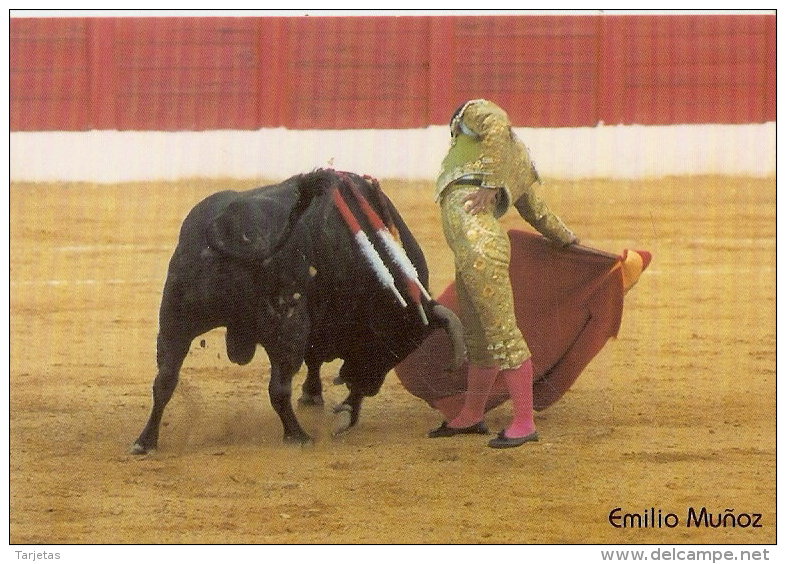 CALENDARIO DE ESPAÑA DEL AÑO 2003 DEL TORERO EMILIO MUÑOZ  (TORO-BULL) (CALENDRIER-CALENDAR) - Tamaño Pequeño : 2001-...