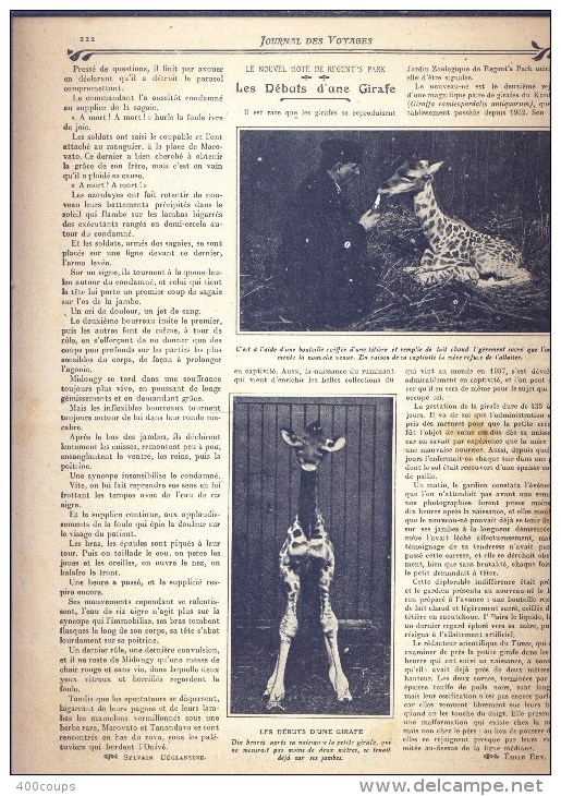 Journal Des Voyages - N° 873 Du 24 Août 1913 - Les Débuts D'une Girafe - La Roumanie En Armes- Le Supplice De La Sagaie - Autres & Non Classés