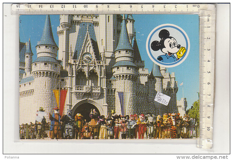 PO5833C# PARCHI DIVERTIMENTI - DISNEY WORLD - TOPOLINO - PUBBLICITA' BISCOTTI ACCORNERO   No VG - Disneyworld