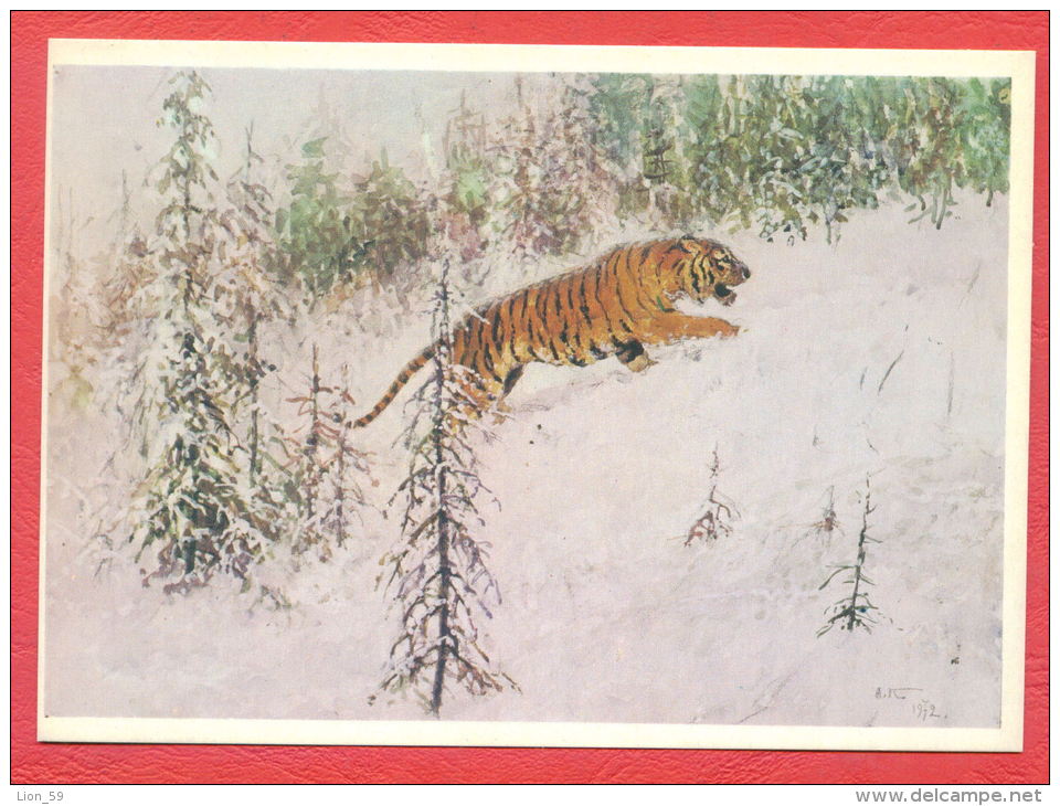 145292 / Russia Art A. Komarov  - Poems V. Kozhevnikov - Tiger Le Tigre (Panthera Tigris) -  Russie Russland Rusland - Tigers