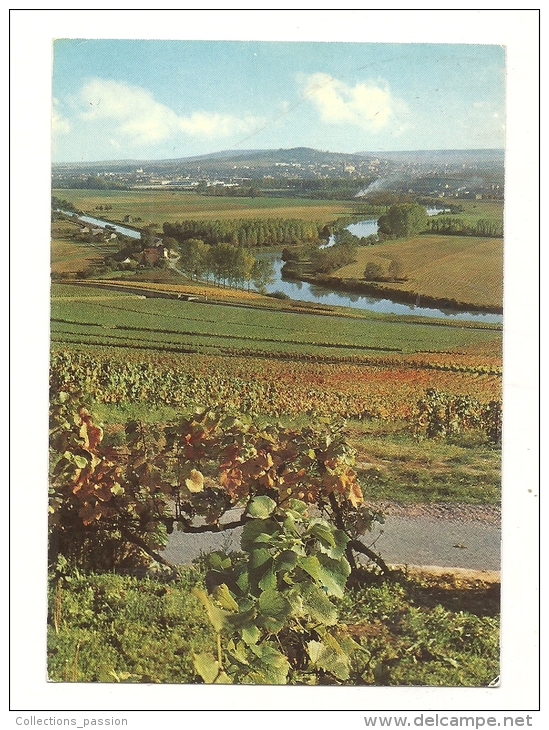 Cp, Vignes,La Marne Et Le Vignoble Devant Hauvillers - Viñedos