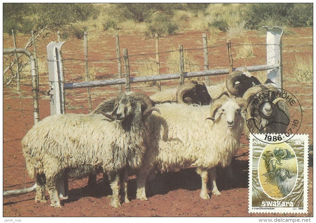 South West Africa 1986 Swakara, 30c Rams, Maximum Card - Other & Unclassified