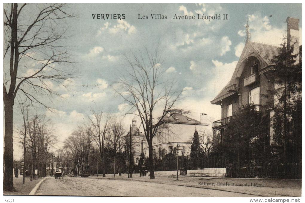 BELGIQUE - LIEGE - VERVIERS - Les Villas Avenue Léopold II. - Verviers