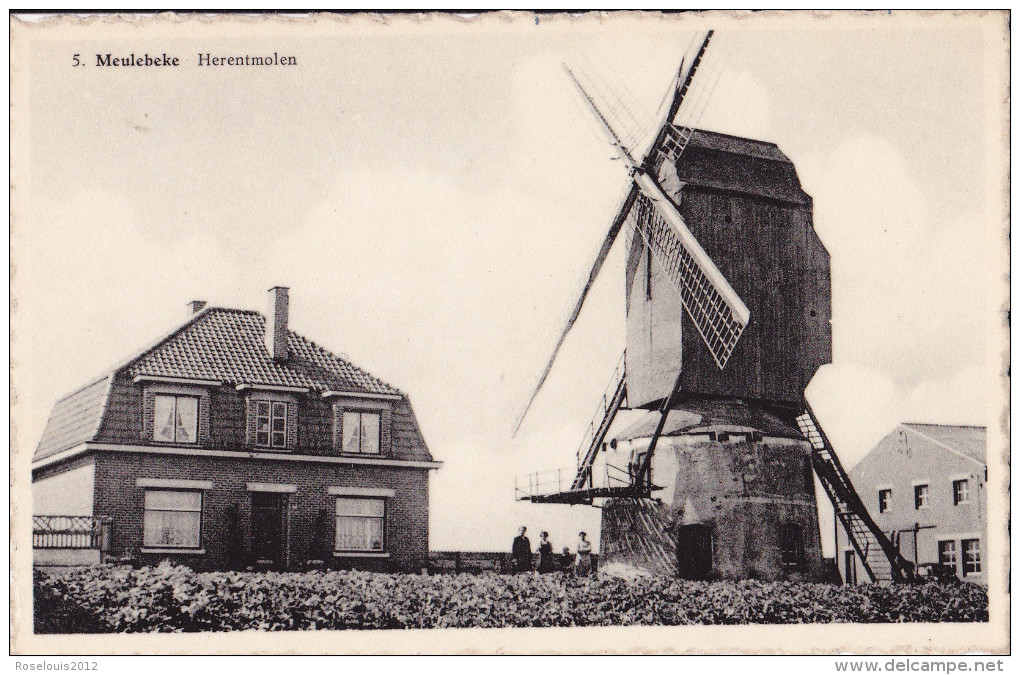 MEULEBEKE : Herentmolen - Molen - Meulebeke