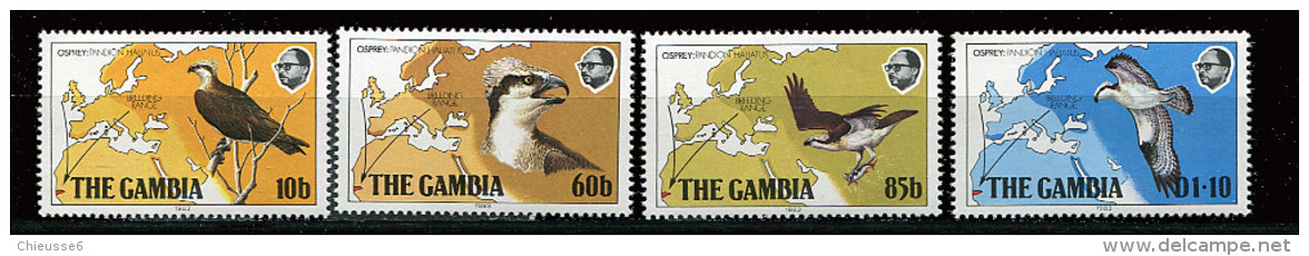Gambie ** N° 480 à 483  - Oiseau : Orfraie - Gambia (1965-...)