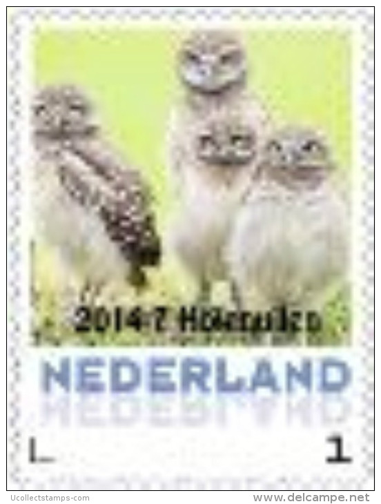 Nederland 2014-7 Ucollect  Uilen  Owl Holenuilen  Postfris/mnh/sans Charniere - Unused Stamps