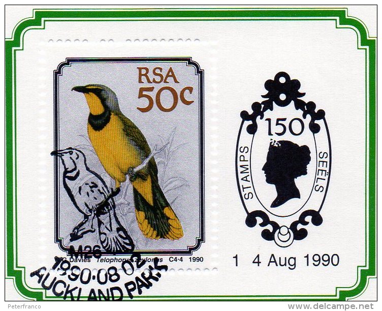 P - 1990 Sud Africa - South African Birds - Usati