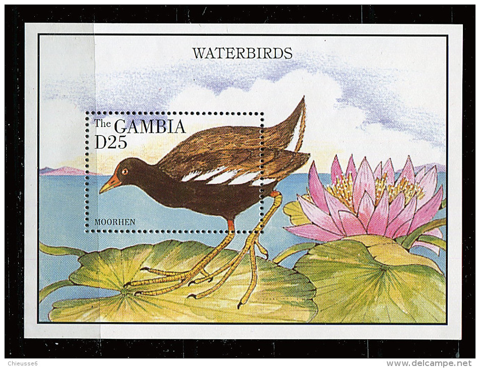 Gambie ** Bloc N° 245 - Oiseaux Aquatiques : Poule D'eau - Gambie (1965-...)